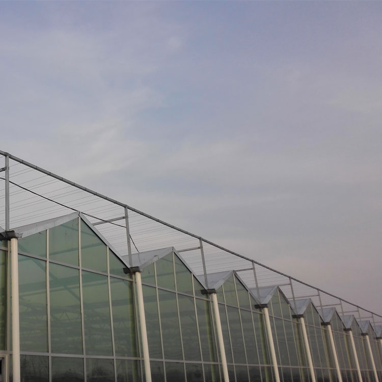 FM-WLN物聯網農業智能控制系統